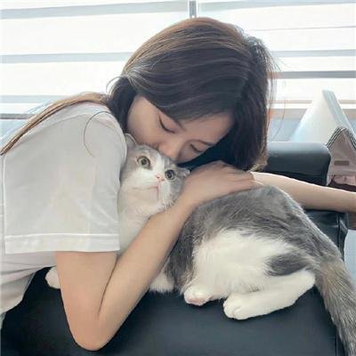 我的会长大人 在线观看封面